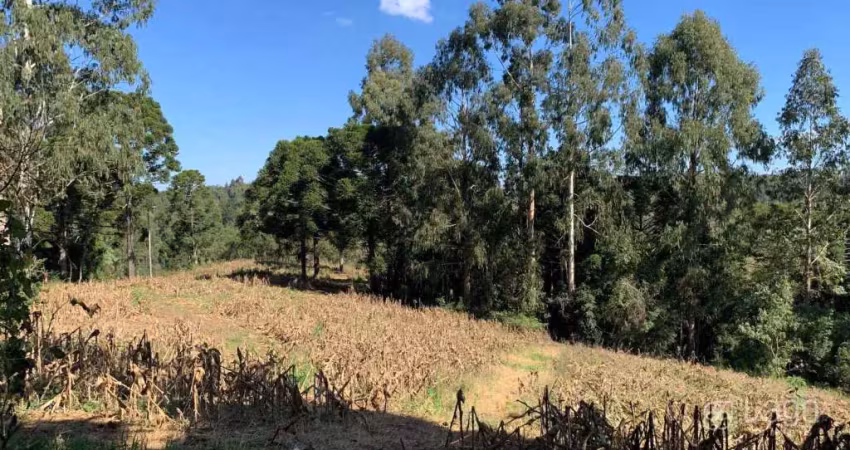 Chácara / sítio à venda no Centro, Carambeí 