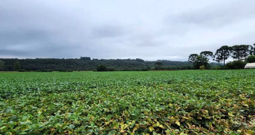 Área para venda Santa Tereza