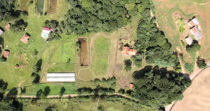 Chácara / sítio com 3 quartos à venda no Centro, Teixeira Soares 