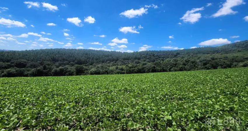 Área Rural Prudentópolis