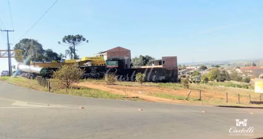 Terreno à venda,2500.00 m , chapada, ponta grossa - pr
