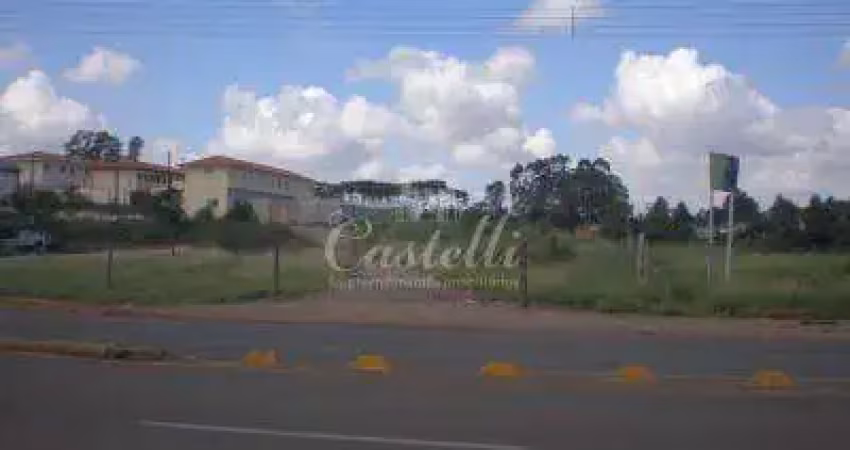 Terreno à venda na Av. Carlos Cavalcanti, Uvaranas, Ponta Grossa