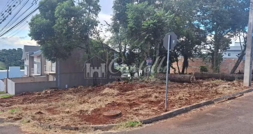 Terreno à venda na Said Ajuz, Estrela, Ponta Grossa