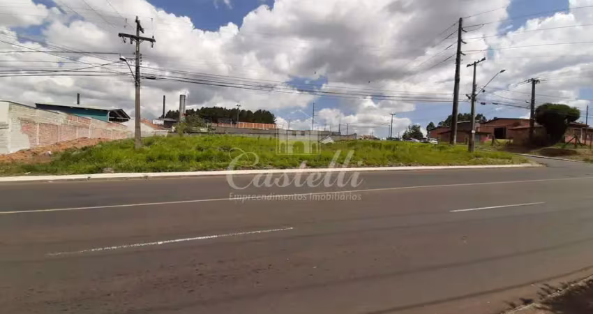 Terreno para locação, jardim carvalho, ponta grossa - pr