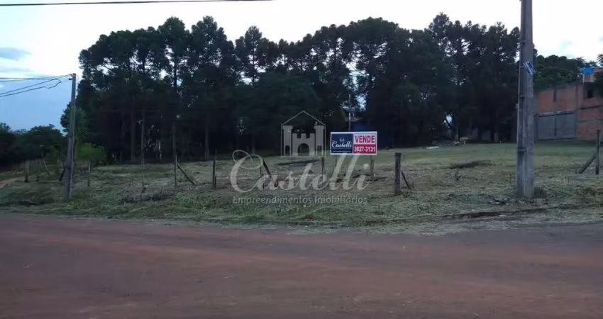 Terreno à venda na Rua Paulo Setúbal, 139, Uvaranas, Ponta Grossa