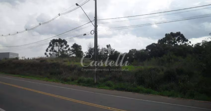 Terreno à venda, jardim carvalho, ponta grossa - pr