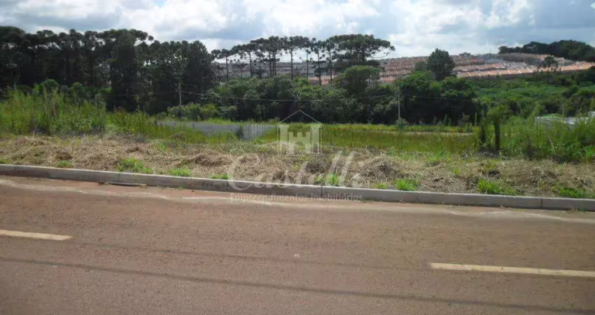 Terreno à venda na Av. Aderly Tureck, 70, Uvaranas, Ponta Grossa