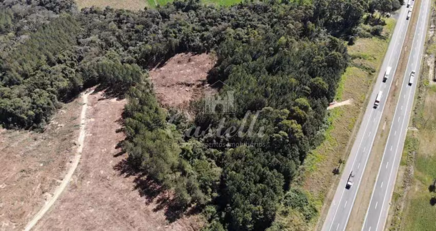 Área comercial a venda em ponta grossa próximo a cervejaria ambev