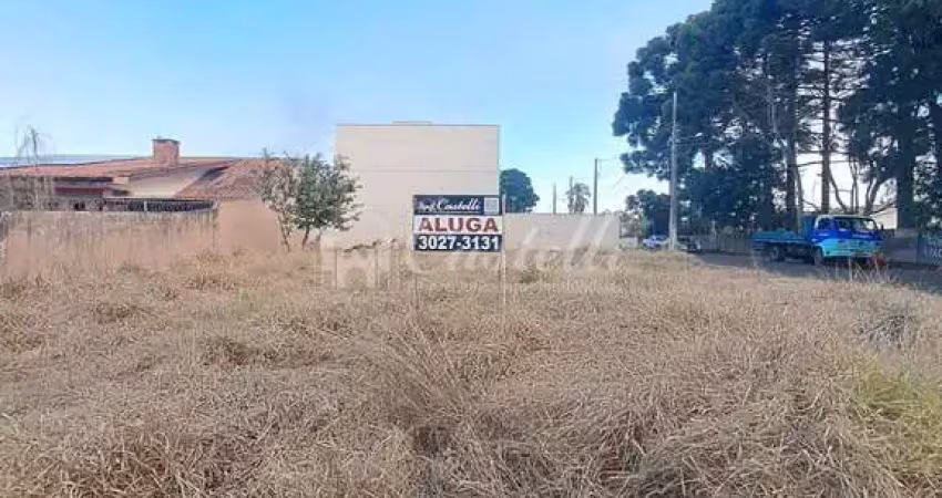 Excelente terreno para locação, uvaranas, ponta grossa - pr