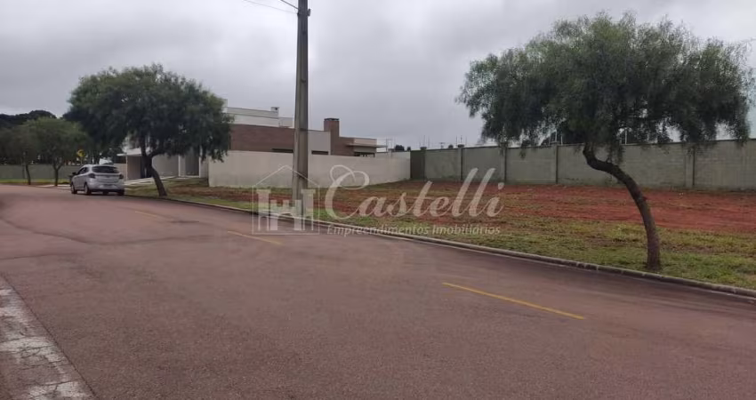 Terreno,300.00 m , Jardim Carvalho, PONTA GROSSA - PR
