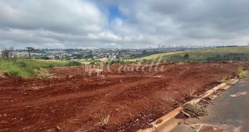 Terreno à venda, no bairro uvaranas, em ponta grossa - pr