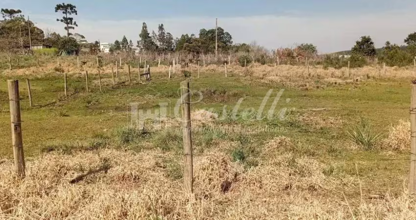 Terreno à venda, vila estrela, rua said ajuz ponta grossa - pr