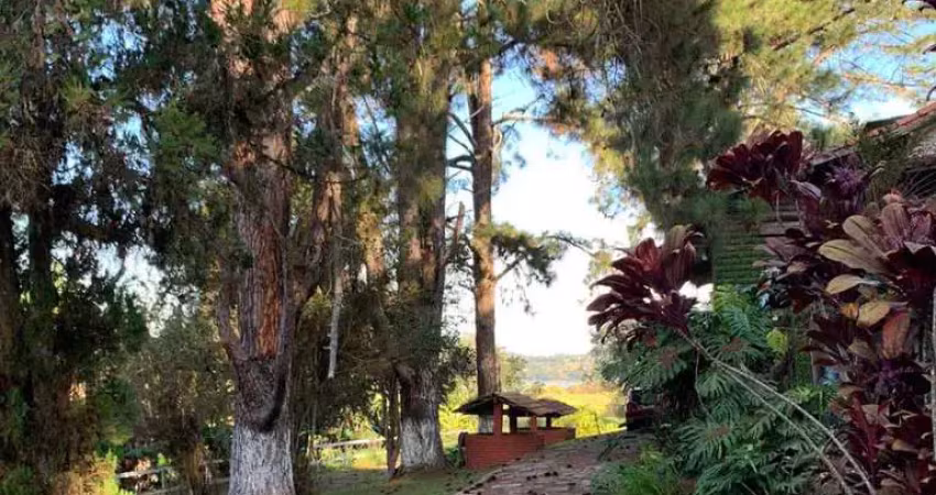 Sítio com 6 quartos, taiaçupeba, mogi das cruzes - r$ 2.5 mi, cod: 267