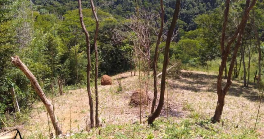 Terreno com uma belíssima vista para o verde de Ipiabas