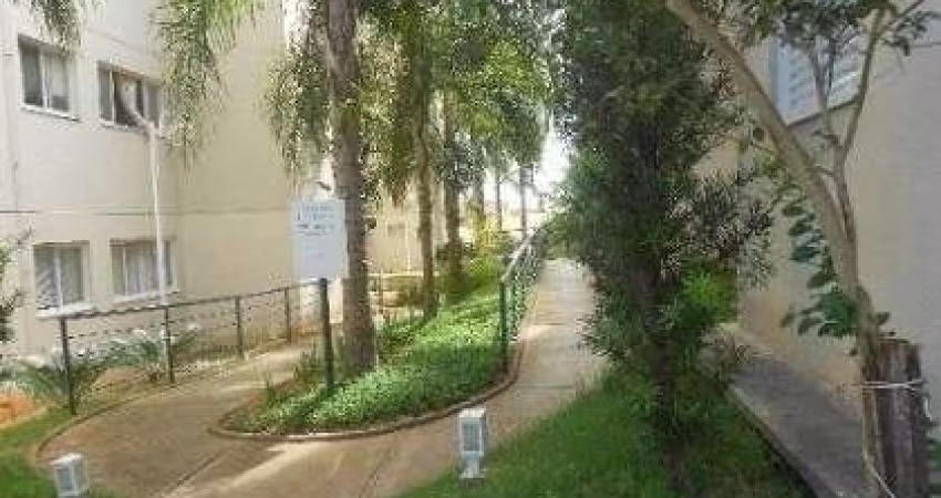 Apartamento com 2 dormitórios à venda, 45 m² por R$ 210.000,00 - Universitário - São José do Rio Preto/SP