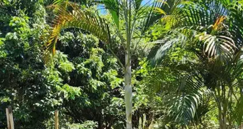 Chácara em biritiba mirim bairro do nirvana 2 casas independentes mega oportunidade