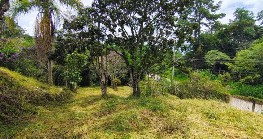 Terreno com vista e platô! natureza + praticidade a 8min do centro - biritiba mirim