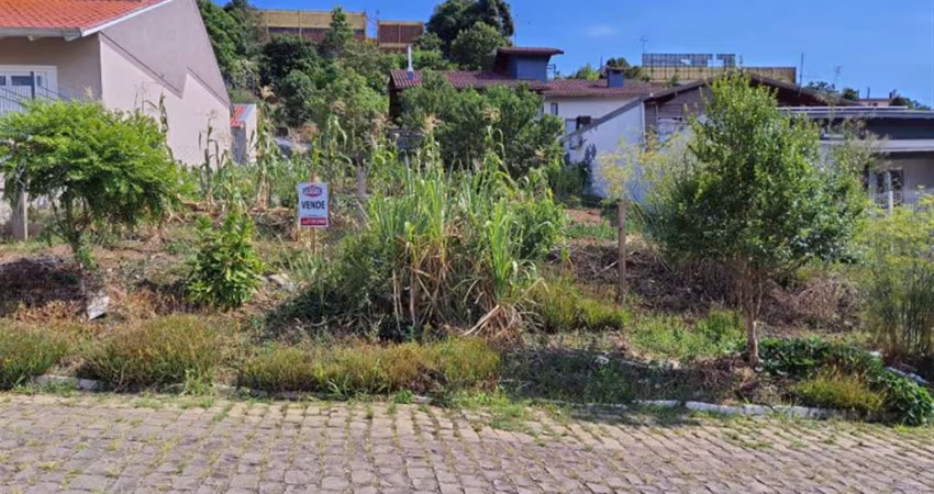 Terreno acima do nível da rua com 15 metros de frente por 25 de profundidade. Área: 15x25= 383,00m. Frente sul. Confira!