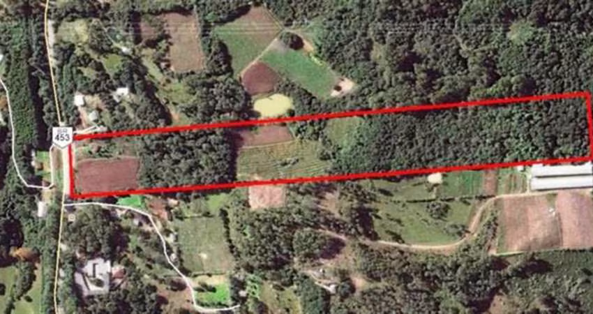 Área de terras com 9,68 hectares.  Com 110m de frente com a RST 453.  Área total: 96.800,00m.  Confira!