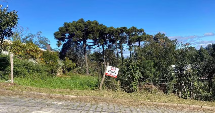 Excelente terreno no Bairro Presidente Vargas!! Ótima posição solar (frente norte)  Área: 12x39,92 = 483,98m.  Confira!!