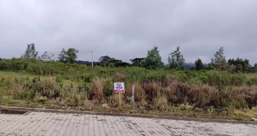 Ótimo lote urbano no Loteamento Seben medindo 13 x 28,50 = 370,50 m.