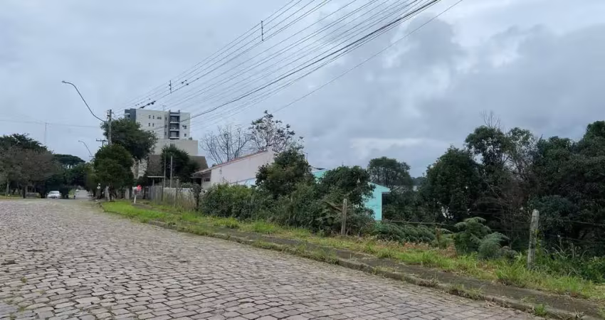 Terreno à venda no Desvio Rizzo, Caxias do Sul 