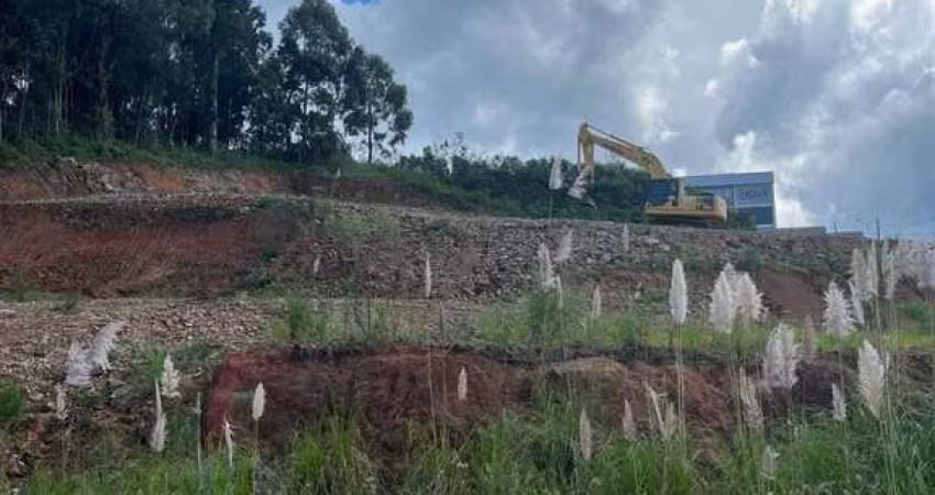 Excelente terreno no Loteamento Vale dos Pinhais no B. São Ciro!!  Área: 13,16x27,36 = 360,00m.  Confira!!
