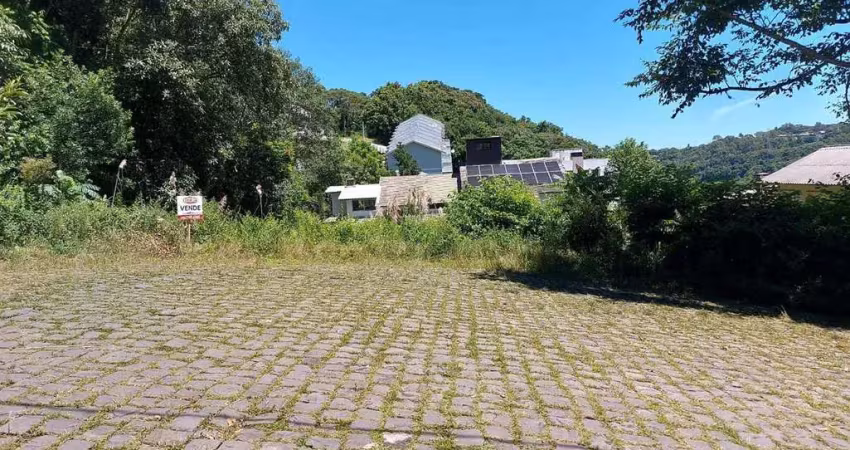 Terreno à venda no São Luiz da Sexta Légua, Caxias do Sul 