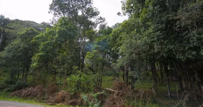 Terreno à venda no Jardim Eldorado, Caxias do Sul 