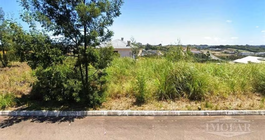 Dois ótimos terrenos, medindo 12 x 30 e 12 x 32, planos, no Lot. Altos da Julieta, ruas asfaltadas. Valor Unitário R$ 120.000,00. Estuda-se proposta de venda casada (2 unidades)
