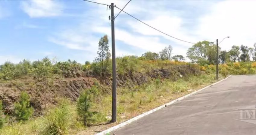 Terreno à venda na Linha Julieta, Farroupilha 