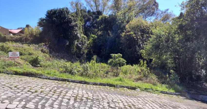 Lote  com 360,00 m²,   Medindo 15 metros de frente.
Valor  R$ 130.000,00