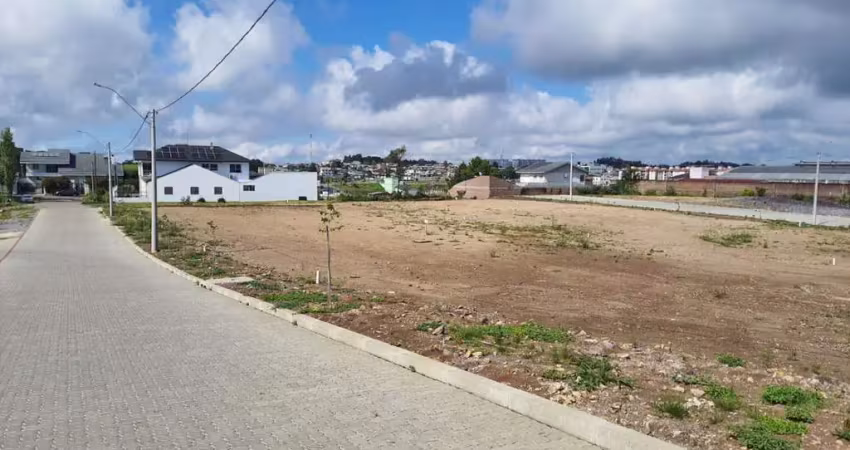 Terreno à venda no São Luiz, Farroupilha 