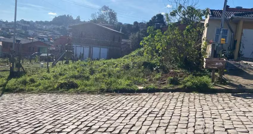 Terreno - venda - 313,03m - nossa senhora das graças