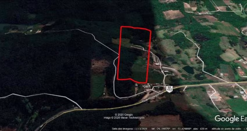Área de terra com 7.3 hectares, com mata nativa e sem benfeitorias.
Aceita permuta.
Dimensões: 130,00m de frente por 561,00m de profundidade.
Área total: 73.385,00 m².

Coordenadas: -029.198449º,  -51