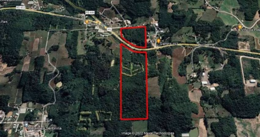 Área de terra, localizada na Linha Sertorina, cortada pela Rodovia RST 453,  com 40.000,00m²  de um dos lados, Área total  200.000,00 m². ( 20 hectares). Fazendo parte da Z A L  e Z A J.
