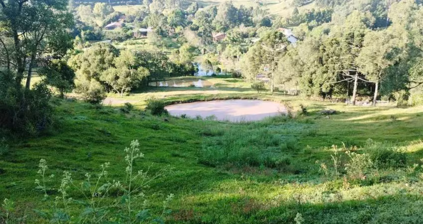 Chácara / sítio à venda no Nova Sardenha (Distrito), Farroupilha 