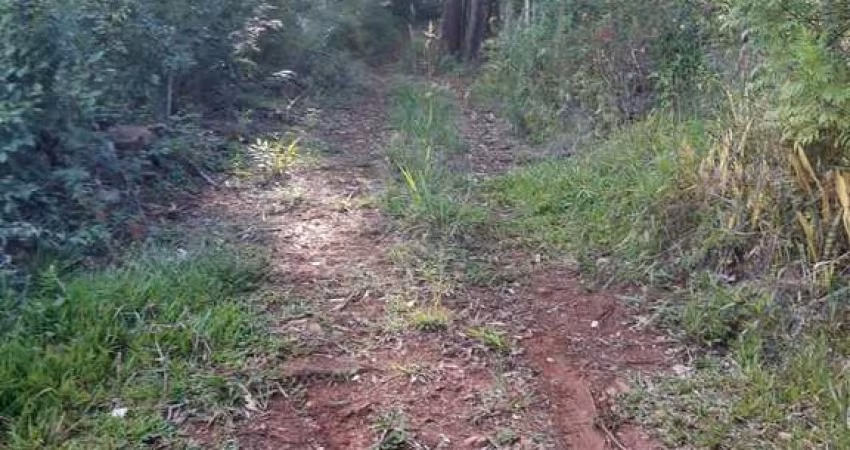 Essa propriedade rural (chácara) conta com uma casa de madeira de pinheiro com 3 quartos, sala e cozinha integradas, banheiro social e garagem para 2 carros. A casa também possui ar condicionado e os 