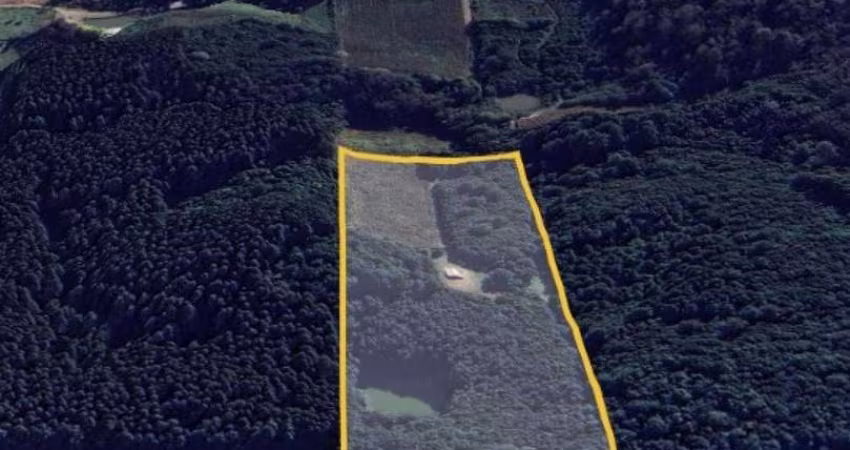 Área de terras localizada próxima os caminhos de pedra, com 4 hectares, parreiral e uma pequena construção de madeira.