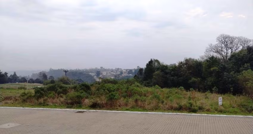 Localizado no Loteamento Sebben, bairro Monte Verde, em Farroupilha/RS, este terreno de 646m² está disponível para venda. Com uma área total ampla e cercado por natureza, o terreno oferece um ambiente