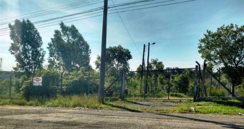 Localizada na cidade de Farroupilha, a propriedade está situada em uma área industrial de grande potencial. Com uma área total de 20.000m², o imóvel é ideal para quem busca um espaço amplo e versátil 
