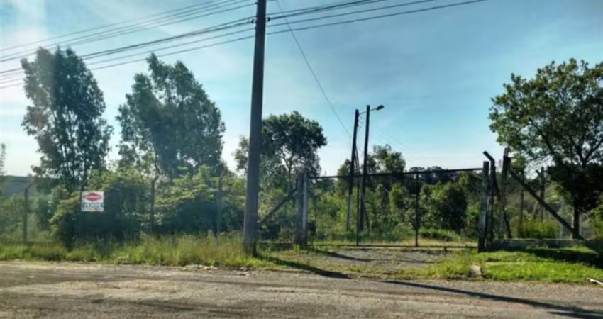 Barracão / Galpão / Depósito à venda na Linha Julieta, Farroupilha 