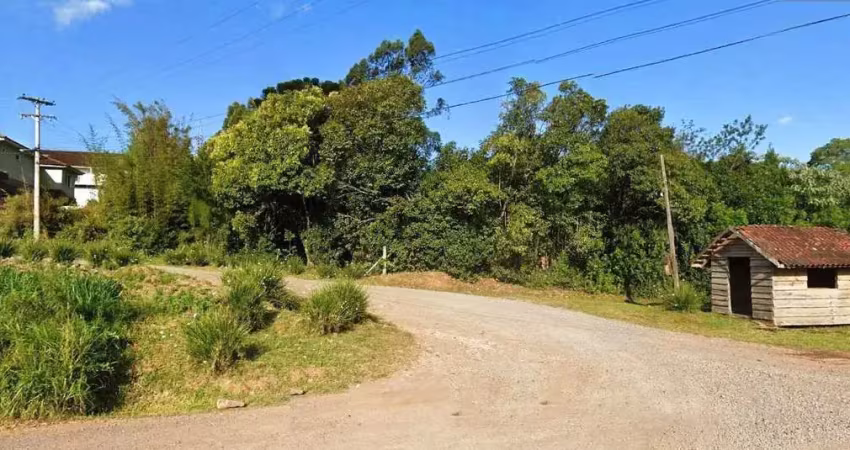 Terreno à venda na Zona Rural, Farroupilha 