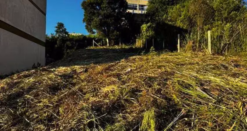 Terreno à venda na Nossa Senhora da Saúde, Caxias do Sul 