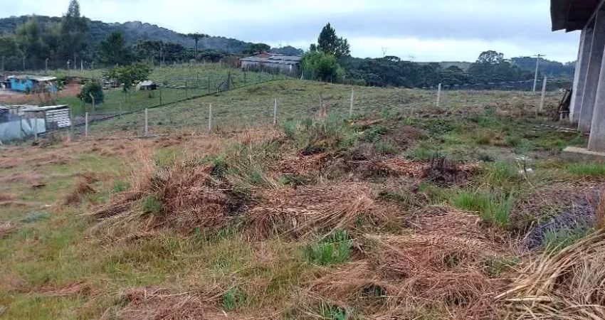 Chácara / sítio à venda na Zona Rural, Caxias do Sul 