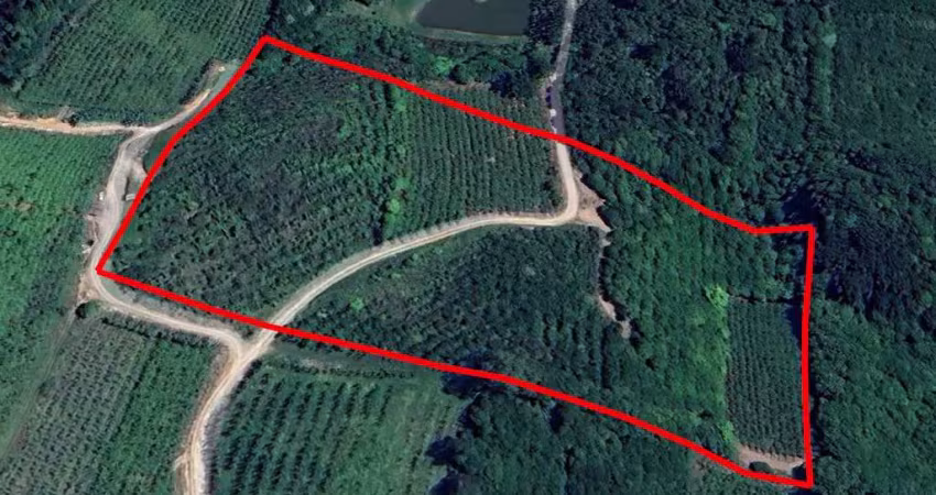 Terreno à venda no Jansen, Farroupilha 