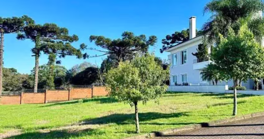 Terreno à venda no Vale dos Vinhedos (Distrito), Bento Gonçalves 