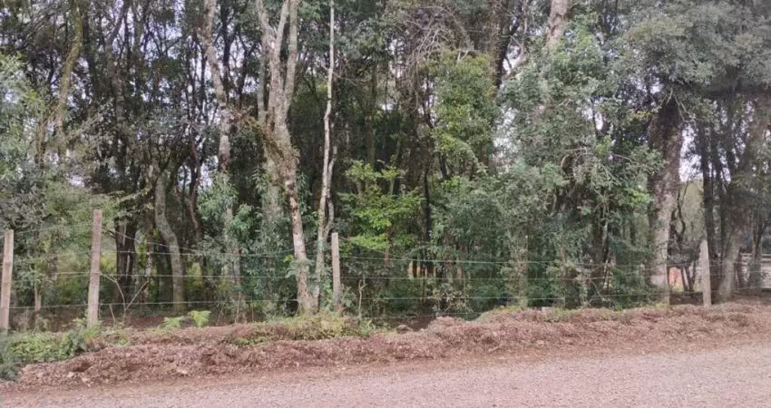 Terreno à venda na Nossa Senhora do Rosário, Caxias do Sul 