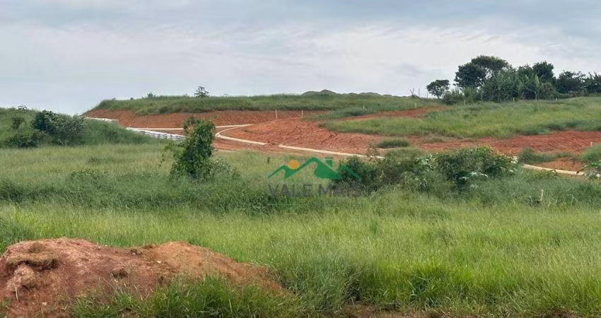 Terreno à venda, 172 m² por R$ 80.000 - Pedrinha - Guaratinguetá/SP