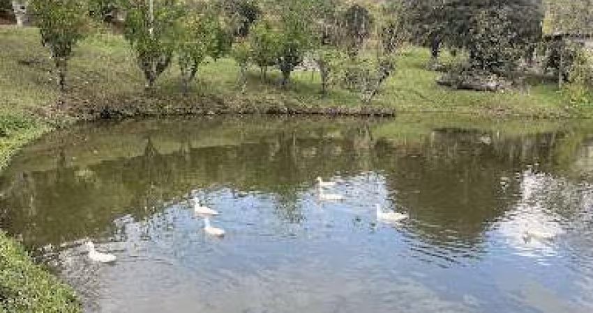 Sítio com 7 dormitórios à venda, 140000 m² por R$ 2.200.000,00 - ESTRADA GUARÁ X CUNHA - Cunha/SP